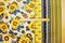 Yellow-Blue-Multi Poly Floral Printed Pebble Crepe Woven Fabric By the Yard